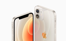 Tiền mua iPhone 12 còn chưa có, nhưng nghe Apple hé lộ chi phí sửa chữa màn hình thôi mà... "rùng cả mình"