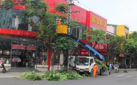 Xót thương người đàn ông nghèo giúp dân đốn cây chống bão số 8, té ngã nhập viện