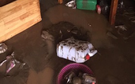 Lào Cai mưa lớn kỷ lục 63 năm qua gây ngập lụt cuốn trôi nhà dân, bé 3 tuổi tử vong