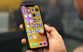 Q2/2020: Apple và Samsung tiếp tục thống trị doanh số smartphone toàn cầu, iPhone 11 bán chạy nhất, bỏ xa đối thủ Galaxy A51