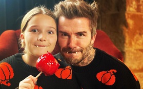 Điển trai cũng là cái khổ: David Beckham kỳ công lên đồ để dọa các fan dịp Halloween, các fan chẳng những không sợ lại còn thi nhau vào thả tim