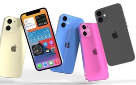Sau iPhone 12 mini, các hãng sẽ theo xu hướng sản xuất điện thoại "nhỏ mà có võ"?