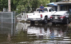 Bão Eta đổ bộ vào Florida, gây ngập lụt nghiêm trọng
