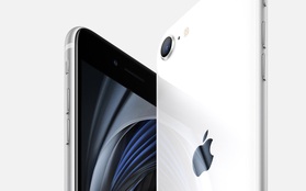 Có thể một chiếc iPhone SE sẽ được Apple trình làng vào nửa cuối năm 2021