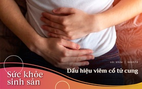 Nữ giới nếu bị viêm cổ tử cung sẽ có 4 triệu chứng xuất hiện thường xuyên nhưng nhiều người vẫn chủ quan bỏ qua