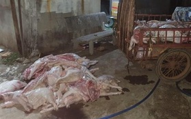Bắt quả tang cơ sở mua heo chết giá 50 nghìn đồng/con về xẻ thịt, bán cho công nhân KCN ở Đồng Nai