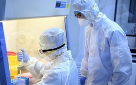 Bộ Y tế trả lời hàng loạt thắc mắc của người dân về dịch bệnh virus corona