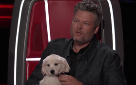 The Voice US: Blake Shelton đưa một chú cún cực yêu ra "đối đầu" với Nick Jonas
