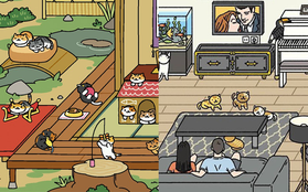 Hoá ra trước khi Adorable Home nổi đình nổi đám, còn có một tựa game "chăm boss" Neko Atsume: Kitty Collector cũng cực kỳ hay ho!