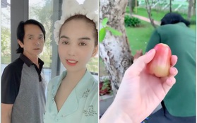 Đoạn clip “trái mận trị giá 100k” của Ngọc Trinh thu về hơn 1,6 triệu views, xem xong mới vỡ lẽ vì sao lại đắt như vậy