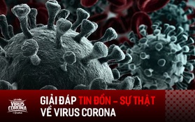 Loạt tin đồn gây hoang mang về virus corona: người nhiễm bệnh sẽ tử vong, đeo khẩu trang là yên tâm 100%?