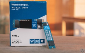 5 lý do khiến WD Blue SN550 500GB là SSD đáng mua tầm giá dưới 2 triệu