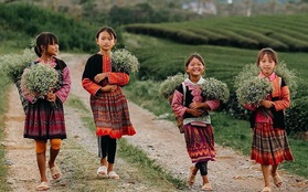 Tết mà chẳng chịu ở nhà, người người rủ nhau trèo đèo, lội suối!