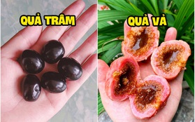 Việt Nam có những loại quả với tên gọi cực lạ khiến ai cũng tò mò, toàn là đặc sản gắn liền với tuổi thơ chúng ta