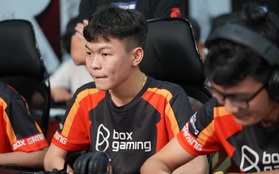 Box Thanh Nhã: Từ thần đồng Free Fire Việt đến giấc mơ trở thành siêu sao game thủ chuyên nghiệp!