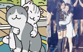 Những khoảnh khắc các chú mèo trong Adorable Home có thần thái "chanh sả" như học theo idol Hàn Quốc!