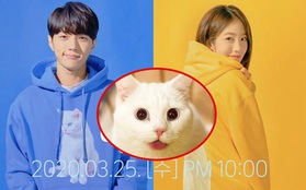 Meow The Secret Boy có rating thấp kỉ lục, netizen phàn nàn: Cốt truyện trẻ con, L (Infinite) diễn dở hơn cả "boss mèo"?