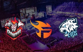 Nhiều tổ chức Esports nước ngoài đang "xưng bá" tại Việt Nam, Team Flash là "anh cả"