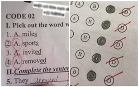 Nỗi nhục lớn nhất khi thi trắc nghiệm: Biết rõ đáp án đúng mà vẫn khoanh trật lất, tất cả đều do lỗi này mà ra