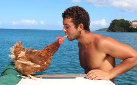 Gã trai ôm gà mái đi du lịch vòng quanh thế giới bằng đường biển