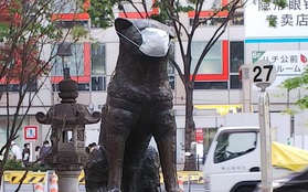 Chính quyền thành phố Tokyo yêu cầu người dân không đeo khẩu trang cho tượng chó Hachiko