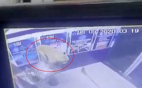 Cây ATM bị phá tan tành sau một đêm, cảnh sát kiểm tra camera an ninh và phát hiện thủ phạm là kẻ không ai ngờ tới