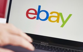 Nhân viên eBay dùng gián, ấu trùng, nhện “khủng bố” blogger chỉ trích công ty