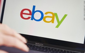 Nhân viên eBay dùng gián, ấu trùng, nhện “khủng bố” blogger chỉ trích công ty