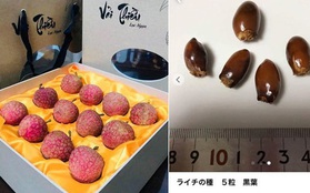 Hết ngạc nhiên vì siêu thị tại Nhật Bản bán 120.000 đồng được 7 quả vải, dân tình lại nhốn nháo khi biết shop online Nhật rao bán cả hạt vải với giá cao
