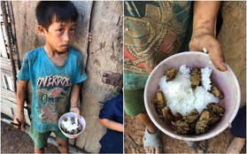 Xót xa bữa cơm của những đứa trẻ vùng cao Đắk Lắk: Chỉ có cơm nguội trộn với ve sầu