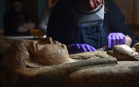 Đưa xác ướp 3.000 năm tuổi của công chúa Ai Cập ra khỏi quan tài, phát hiện bức chân dung bí ẩn cùng hàng loạt câu hỏi chưa có lời giải đáp