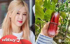 3 món skincare được chuyên gia makeup Black Pink khuyên dùng: Có một món bình dân đình đám nàng nào cũng "nhẵn mặt"