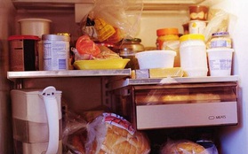 Thực phẩm nóng có đặt được trực tiếp vào tủ lạnh? Đây mới thực sự là cách bảo quản thực phẩm nóng an toàn