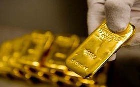 Mở đầu tuần mới, giá vàng “áp sát” mốc 51 triệu đồng/lượng