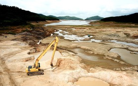 Điều chưa từng xảy ra ở hồ nước ngọt lớn nhất Quảng Ninh: Bò "dạo chơi" giữa lòng hồ