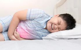 Hai bé 9 và 11 tuổi nhập viện trong tình trạng đau bụng, tiểu ra máu: Bác sĩ chẩn đoán mắc bệnh người lớn do một thói quen ăn uống tai hại