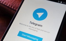 Sau 7 năm, Telegram đã cập nhật tính năng video call