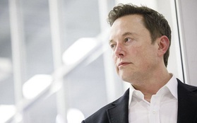 Kiếm được gần 8 tỷ USD/ngày, Elon Musk trở thành người giàu thứ 4 thế giới