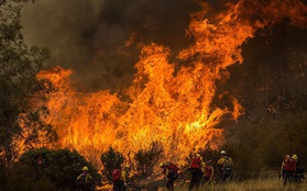 California hóa 'Hỏa Diệm Sơn' vì cháy rừng, dân liều mình lái xe lao qua biển lửa
