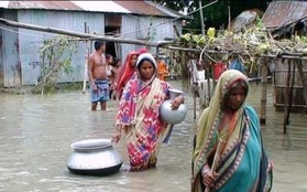 Mưa lũ ảnh hưởng cuộc sống của 1/3 dân số Bangladesh