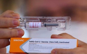 Sinovac sẽ sản xuất 300 triệu liều vaccine ngừa Covid-19 mỗi năm