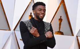 Netizen để lại bình luận dưới MV nhạc phim Black Panther bày tỏ thương tiếc tài tử Chadwick Boseman: "Vĩnh biệt nhà Vua Wakanda!"