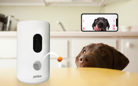 Lại có thêm thiết bị giúp "con sen" phục vụ các "boss", lần này là camera đa năng Petkix