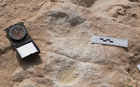 Hồ nước cạn khô trên sa mạc hé lộ một loạt dấu chân 120.000 năm tuổi của tổ tiên chúng ta