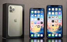 iPhone xách tay giá rẻ nhiều nguy cơ sẽ bị xoá sổ tại Việt Nam