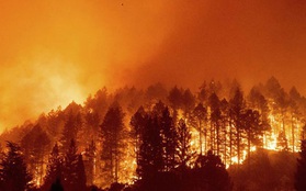 Cháy rừng tại California, 50.000 người phải sơ tán
