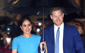 Meghan Markle bị khán giả Netflix từ chối, cùng chồng nhận chỉ trích "không biết xấu hổ" khi làm phim về Công nương Diana