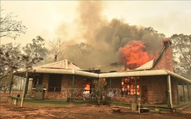 Australia triển khai chiến dịch tiếp cận hàng nghìn người bị mắc kẹt do cháy rừng