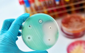 Trí tuệ nhân tạo vừa tìm ra một loại siêu kháng sinh mới, có thể tiêu diệt vi khuẩn kháng kháng sinh nguy hiểm nhất