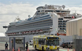 Thêm một khách trên du thuyền Diamond Princess tử vong vì COVID-19